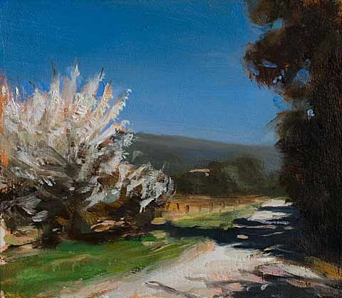 daily painting titled Road with flowering cherry trees