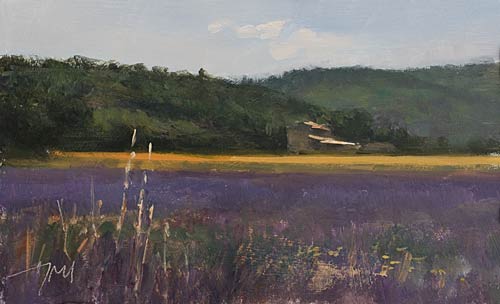 daily painting titled Lavender field in the DrÃ´me