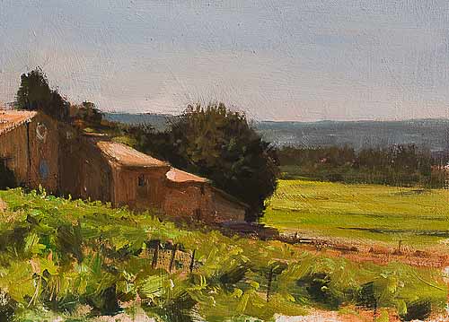 daily painting titled Summer vineyards