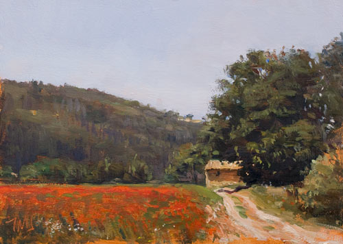 daily painting titled Poppy field and cabanon