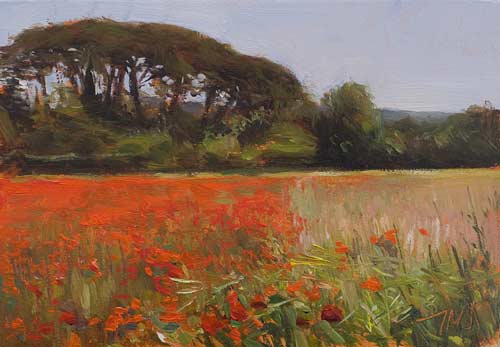 daily painting titled Poppy field near Mormoiron