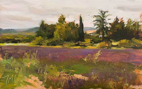 daily painting titled Lavender fields at Bonnieux