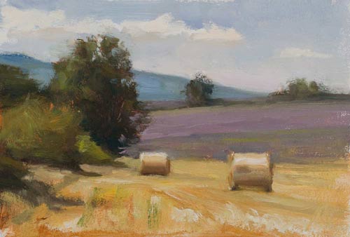 daily painting titled Lavender fields and hay bales
