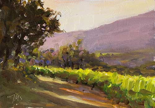 daily painting titled Evening Vineyards