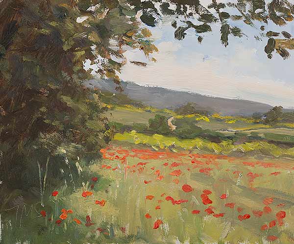 daily painting titled Poppies at les Couguieux