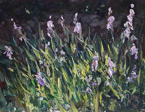 daily painting titled Bank of irises