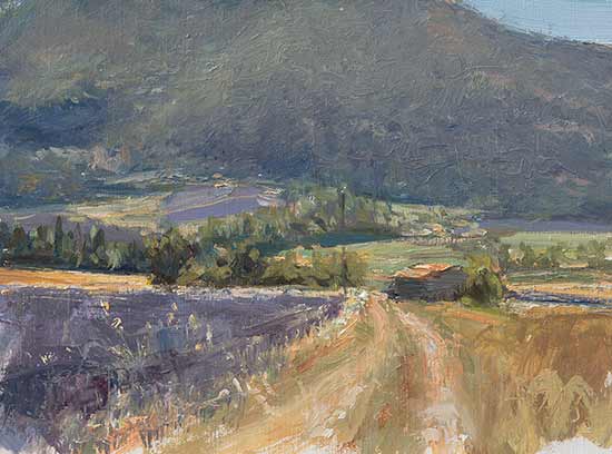 daily painting titled In the lavender fields of Sault