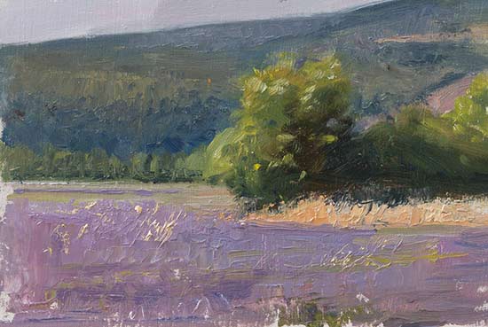 daily painting titled Late afternoon, Sault