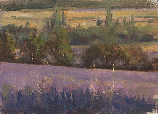 daily painting titled Evening in the lavender fields