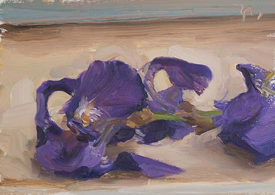 daily painting titled Irises on a window sill