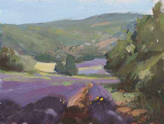 daily painting titled Lavender fields at Sault