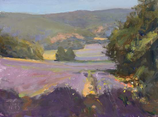 daily painting titled Lavender fields, Sault
