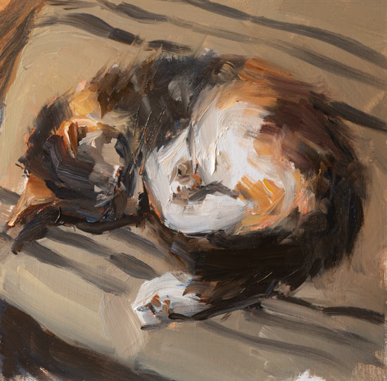 daily painting titled Sleeping kitten