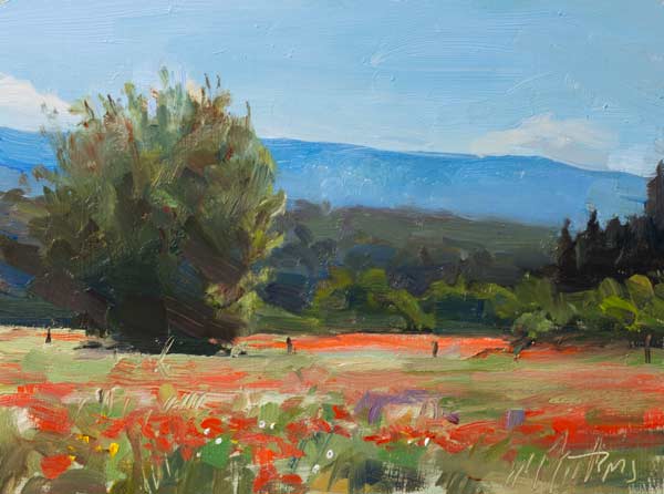 daily painting titled Poppy field near l'Isle-sur-la-Sorgue
