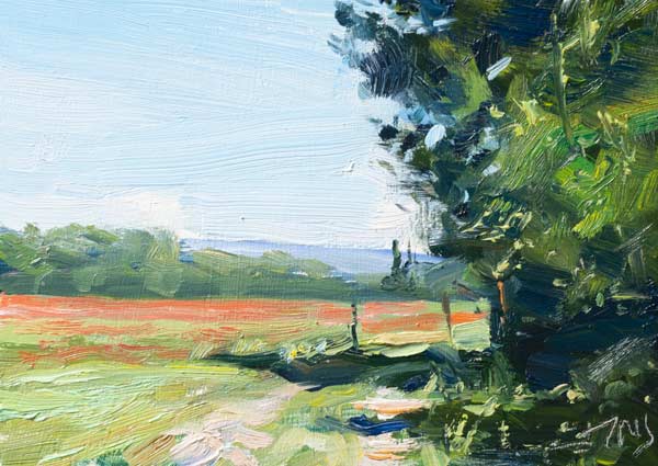 daily painting titled Track through a poppy field