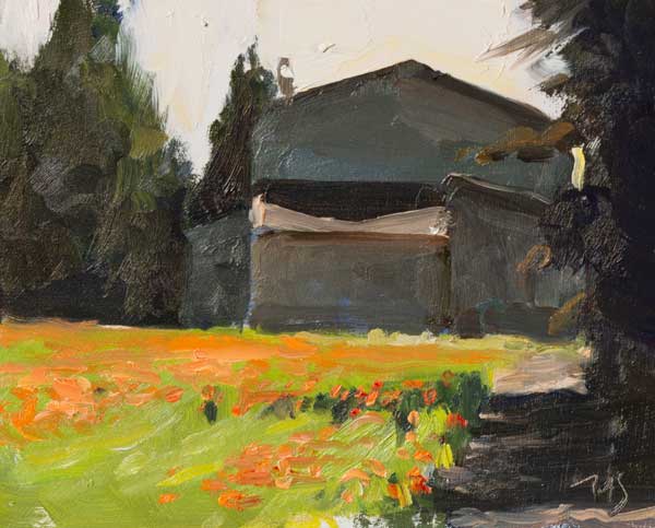 daily painting titled Morning poppies