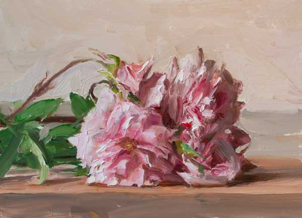 daily painting titled Roses (Cecile Brunner)