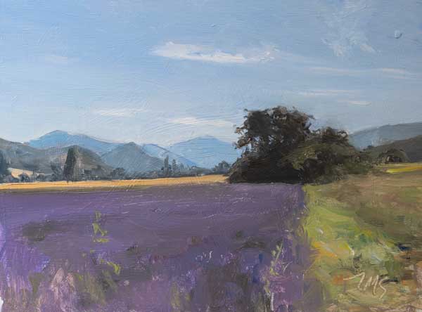 daily painting titled Lavender field, Sederon