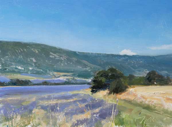 daily painting titled Lavender fields, Monieux