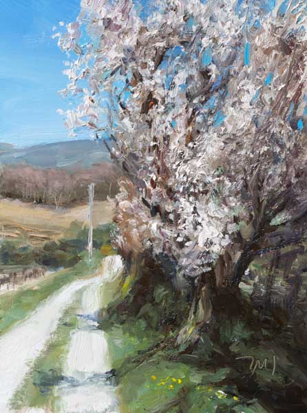 daily painting titled Track with almond blossom