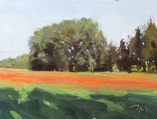 daily painting titled Poppy field, Entraigues sur la Sorgue