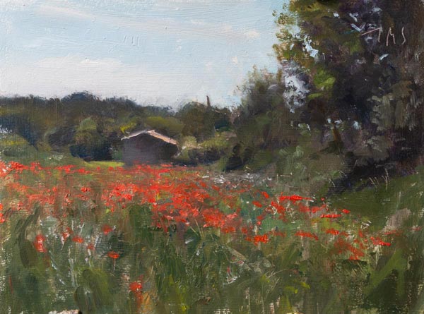 daily painting titled Cabanon and poppies