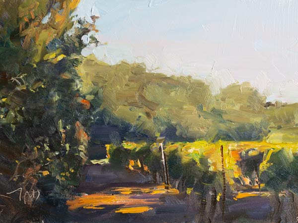 daily painting titled Morning vineyard
