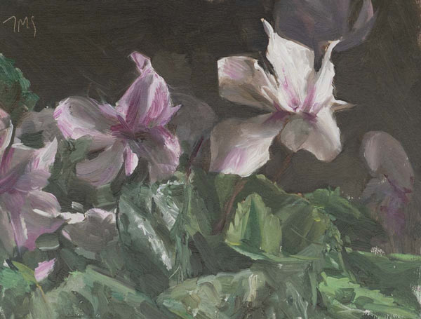 daily painting titled Cyclamen