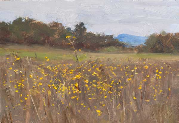 daily painting titled Wildflowers, la Grange Neuve