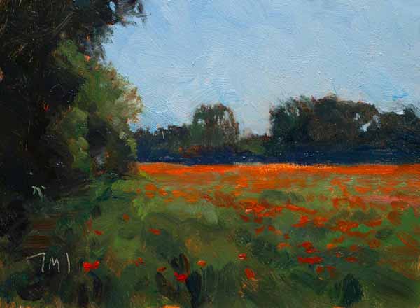daily painting titled Field of poppies, Bedoin