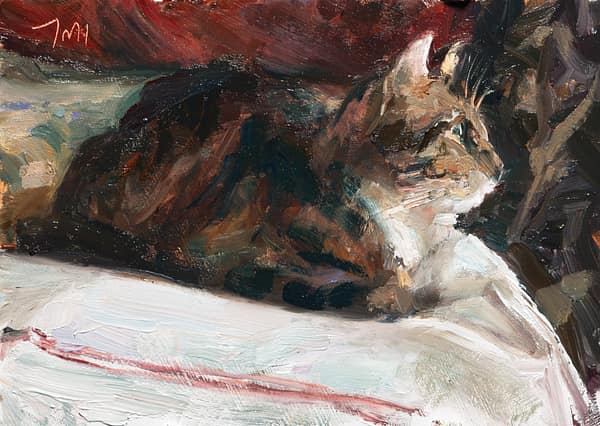 Resting cat, painted  1 May 2026