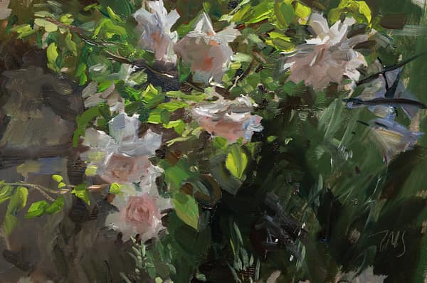 Studio sale, painted 11 May 2026