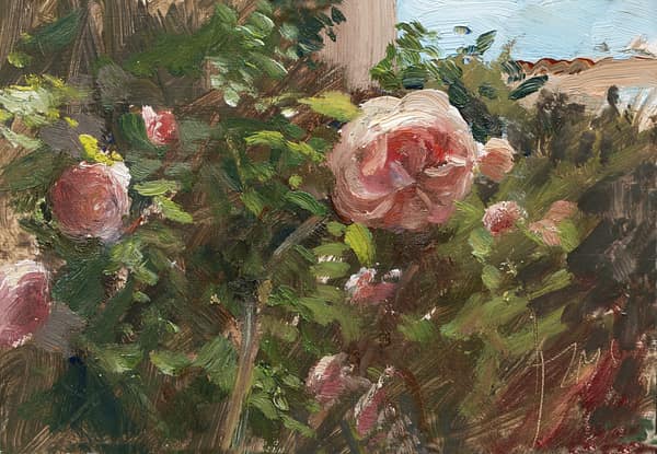 Roses at la Grange Neuve, painted 29 May 2026