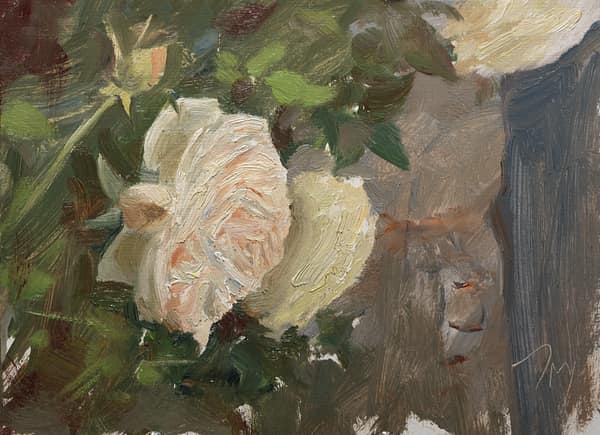Roses at le Devencet, painted 17 June 2026