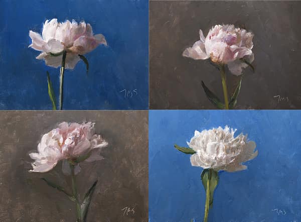 Four paintings of single peonies, painted 19 June 2026