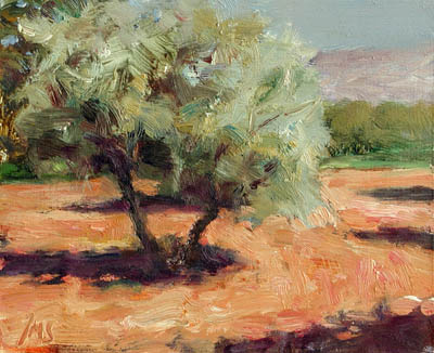 daily painting titled Olive Grove