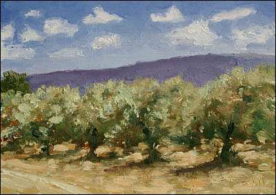 daily painting titled Olive Grove under the Ventoux