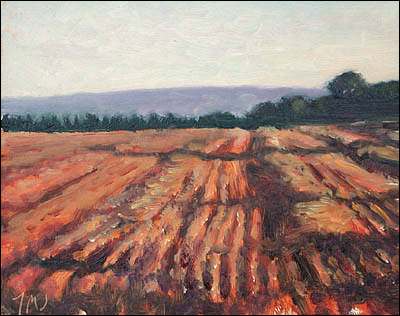 daily painting titled Harvest Evening