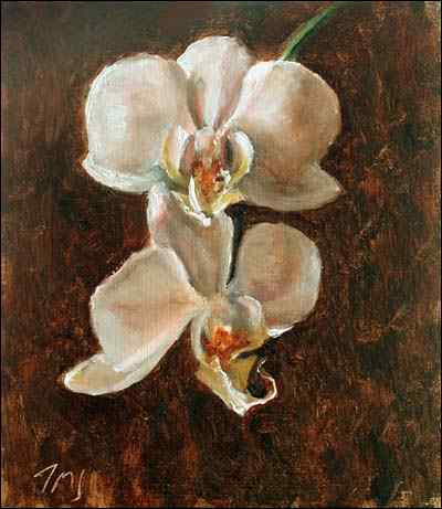daily painting titled Hanging Orchid Flowers