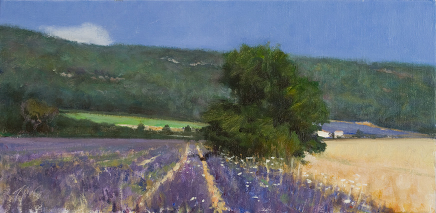 Print of
Lavender fields at Sault