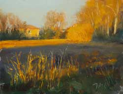 Early morning, Velleron