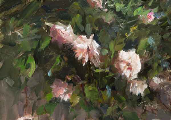 Roses in the rain