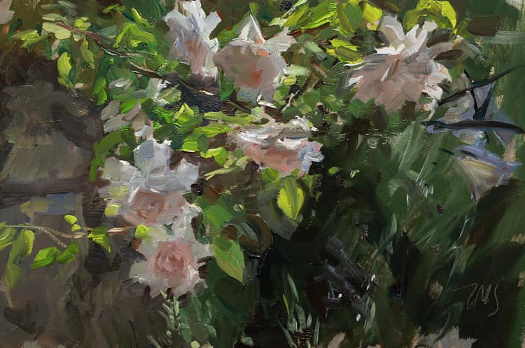 Roses  