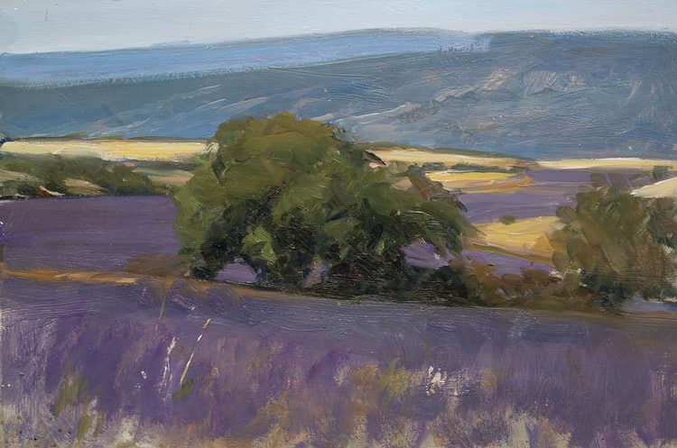 Lavender fields, Haute provence