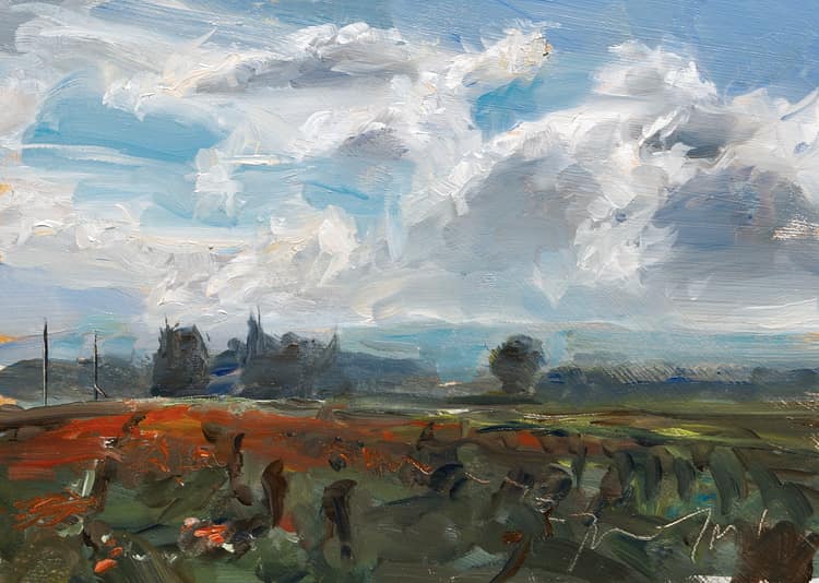 Poppies in a vineyard