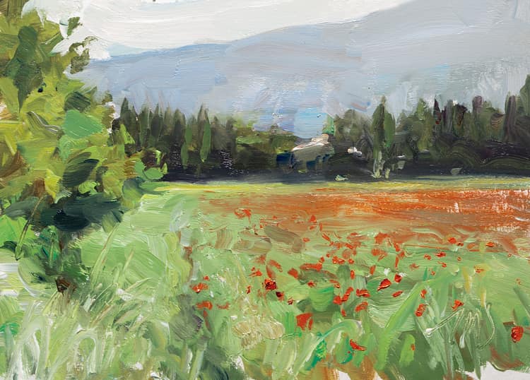 Ventoux poppy field
