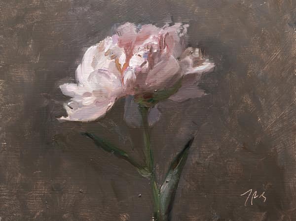 Peony #1