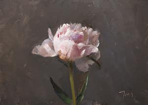 Peony #2