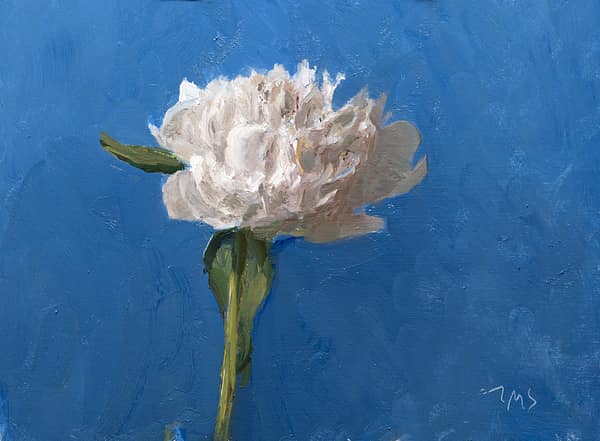 Peony #3
