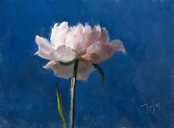 Peony #4